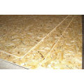 15mm good quality   waterproof   OSB3    for    making   roof